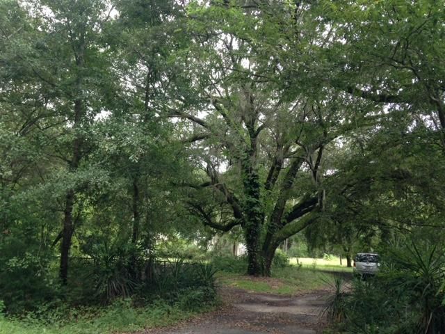 1280 Fifteen Mile Landing Rd, Awendaw, SC 29429