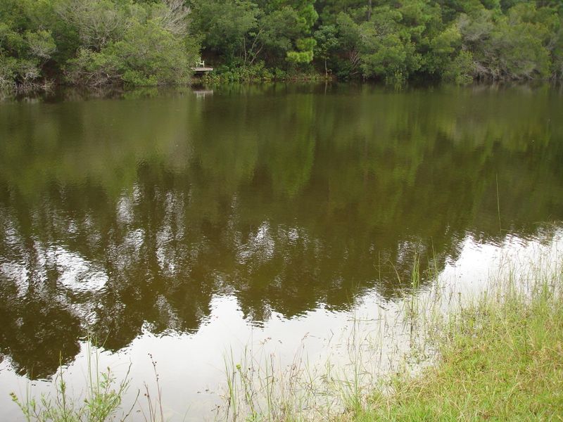 6296 Hwy 165, Ravenel, SC 29470