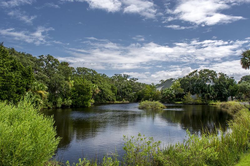 12 Heron Cv, Edisto Beach, SC 29438