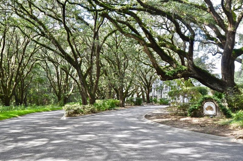 60 Fenwick Hall Allee #636, Johns Island, SC 29455