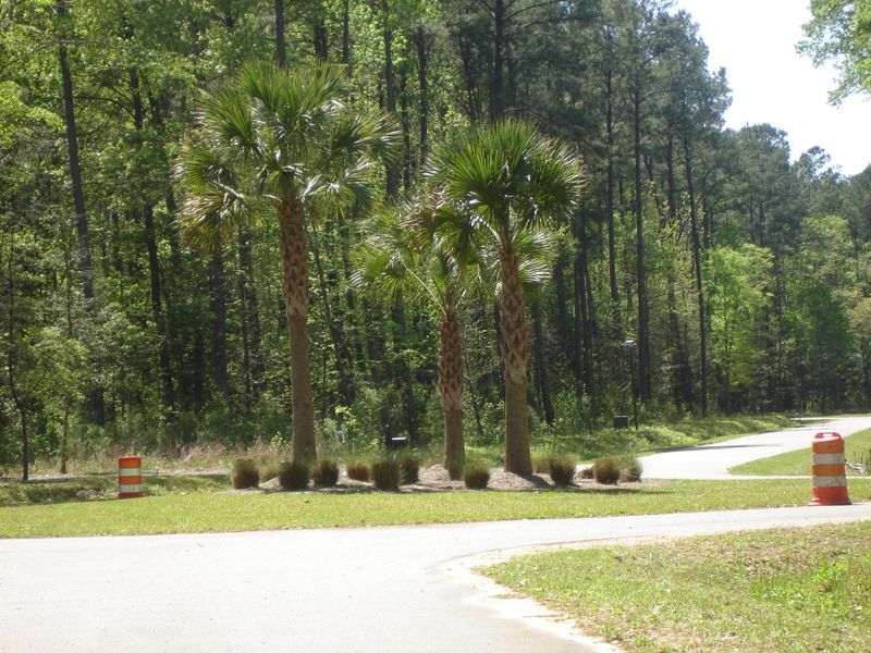 59 Peppergrass Trl, Ravenel, SC 29470
