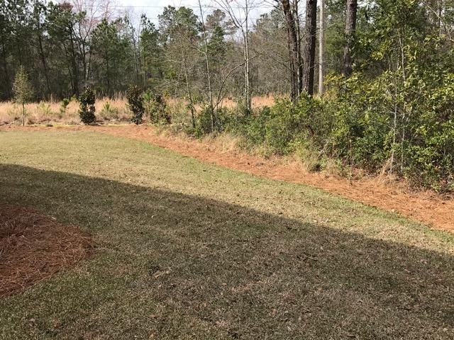 449 Fosters Tern St, Moncks Corner, SC 29461