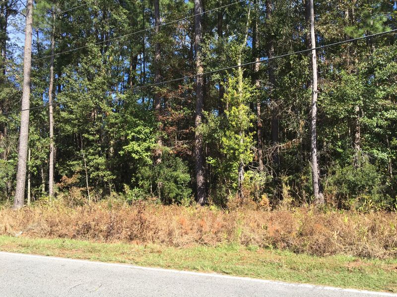 5874 Highway 165, Ravenel, SC 29470