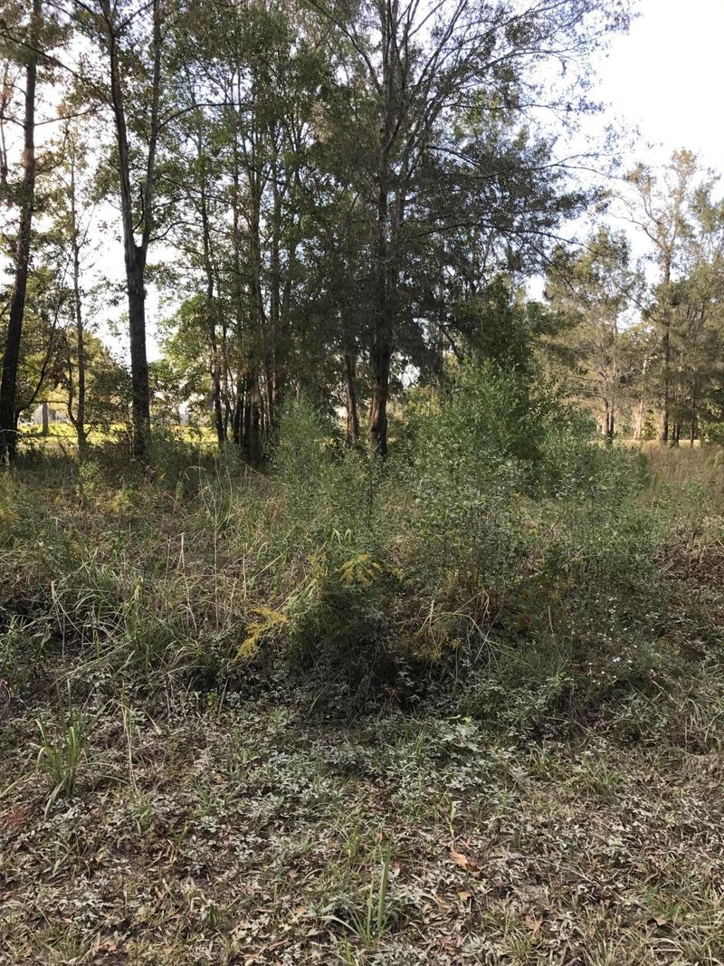 1000 Albert Storm Ave, Moncks Corner, SC 29461