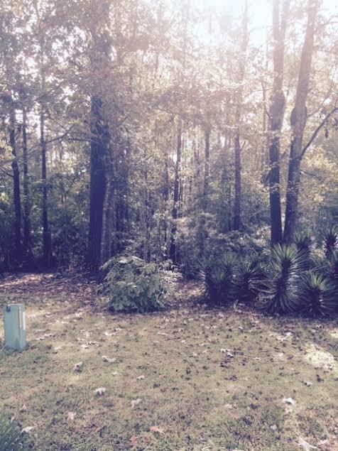0 Medina East St, Summerville, SC 29483