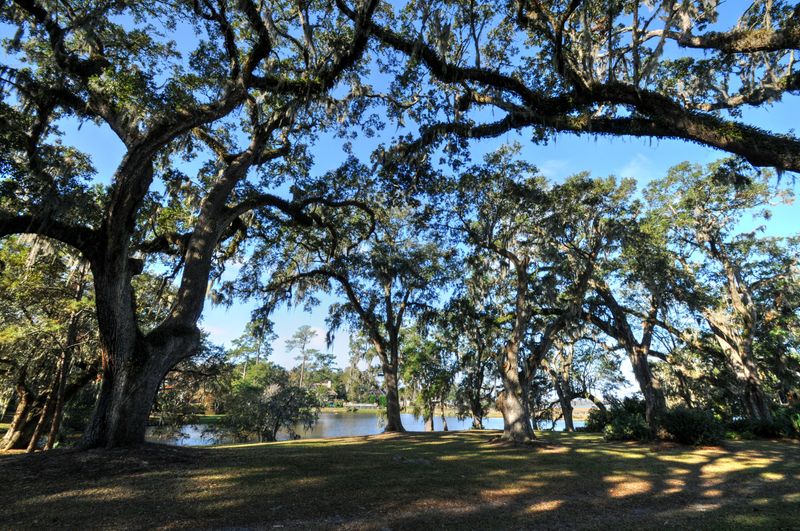 349 Coinbow Dr, Mount Pleasant, SC 29464