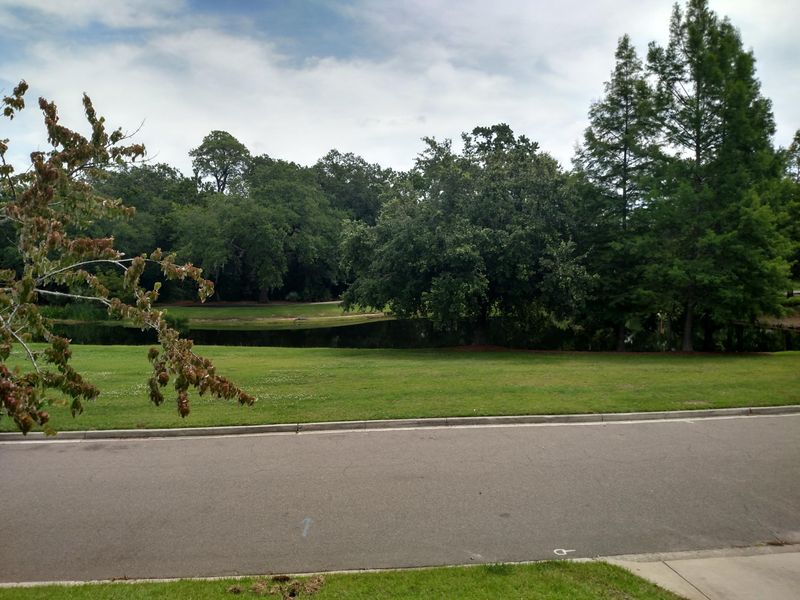 117 Cooke St, Daniel Island, SC 29492