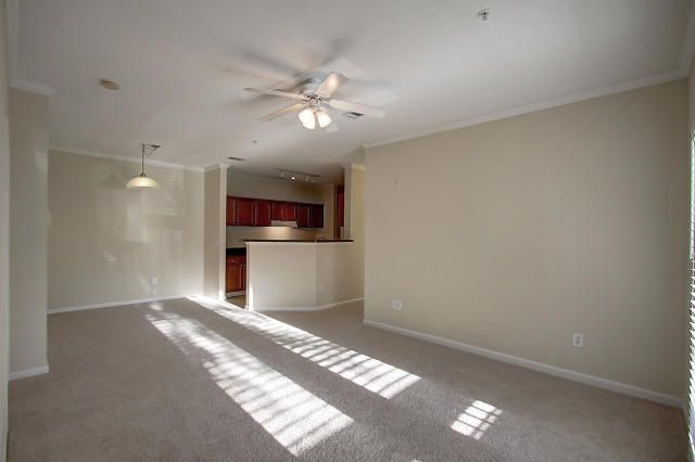 45 Sycamore Ave #1118, Charleston, SC 29407