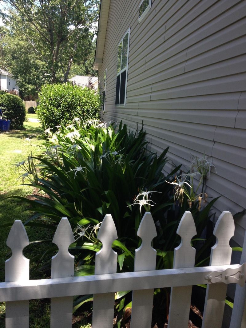 3082 Penny Ln, Johns Island, SC 29455