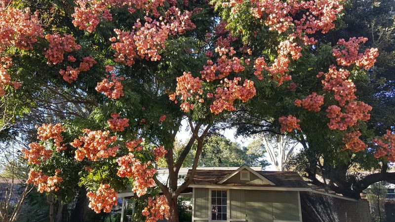 4338 Helene Dr, North Charleston, SC 29418