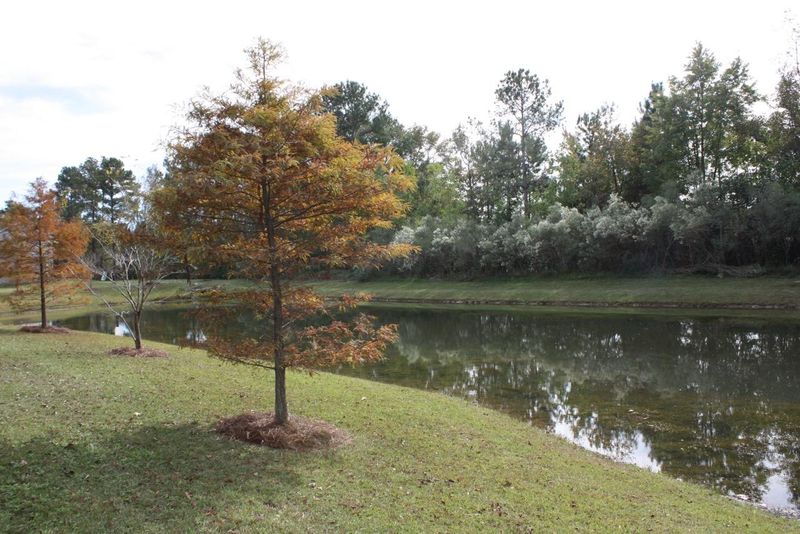 111 Dennis Dr, Goose Creek, SC 29445