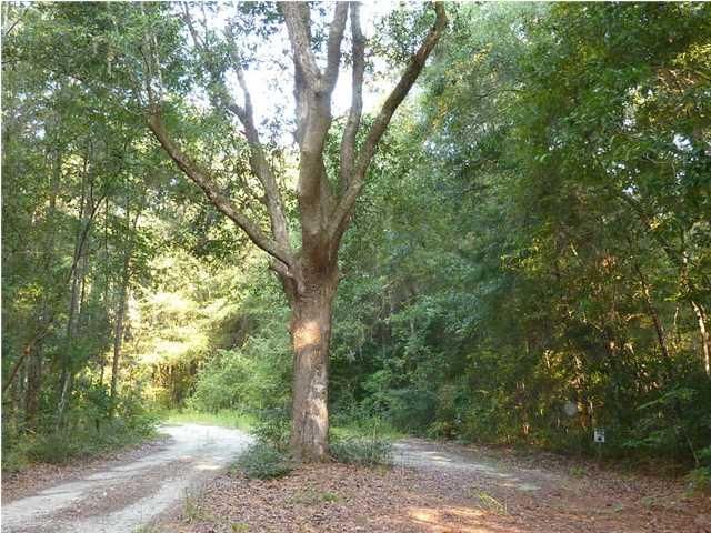 12 Louis Berry Ln, Edisto Island, SC 29438