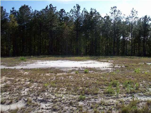 403 Sablewood Dr, Huger, SC 29450