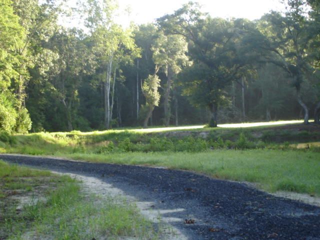 46 Peppergrass Trl, Ravenel, SC 29470