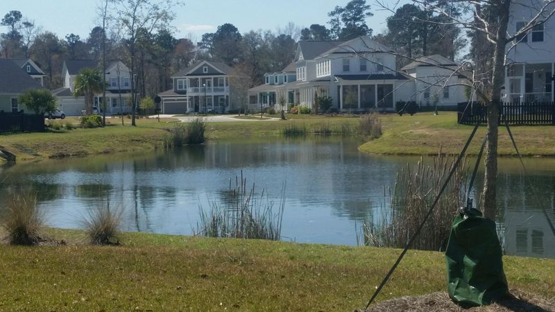3730 Orion Ln, Mount Pleasant, SC 29466