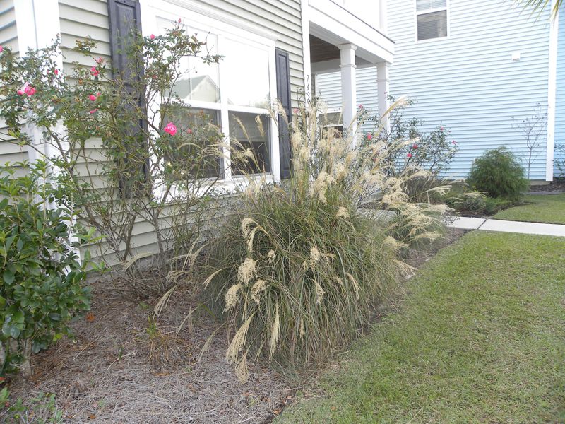 7435 Northgate Dr, Hanahan, SC 29410