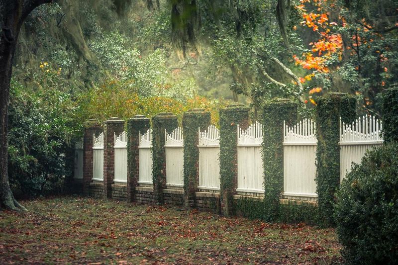 7311 Jenkins Hill Rd, Edisto Island, SC 29438