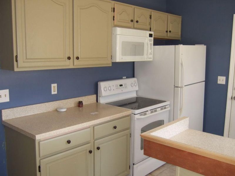 221 Basswood Ave, Summerville, SC 29483