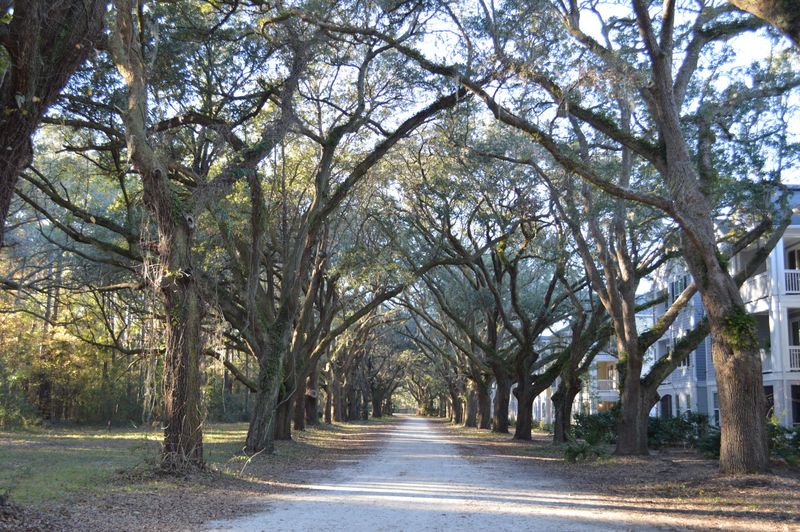 60 Fenwick Hall Allee #1021, Johns Island, SC 29455
