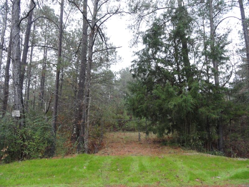0 Hill Branch Rd, Ridgeville, SC 29472
