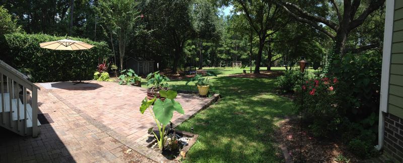 6270 Shilelagh Oaks Pw, Ravenel, SC 29470