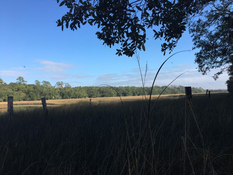 0 J And R Rd, Johns Island, SC 29455