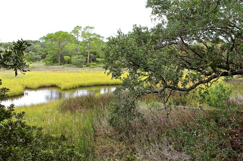 1206 E Ashley Ave, Folly Beach, SC 29439