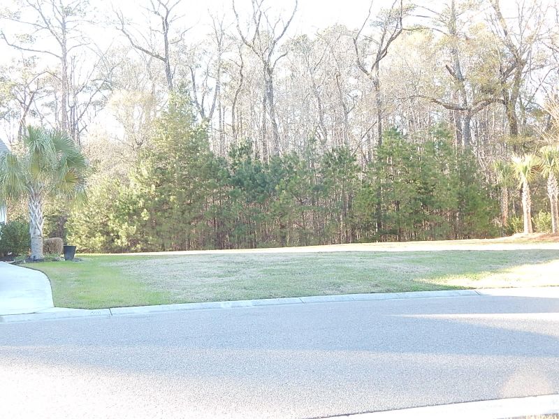 152 Silver Cypress Cir, Summerville, SC 29485