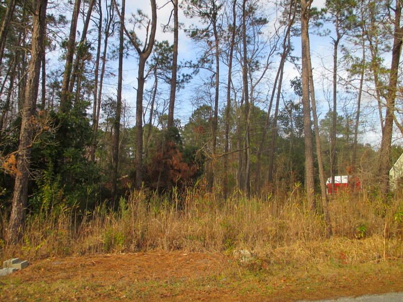 154 Rambo Dr, Summerville, SC 29483