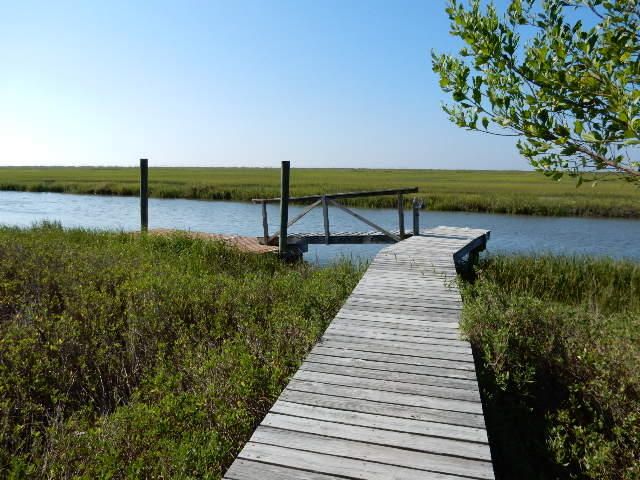 844 Hammocks Way, Edisto Island, SC 29438