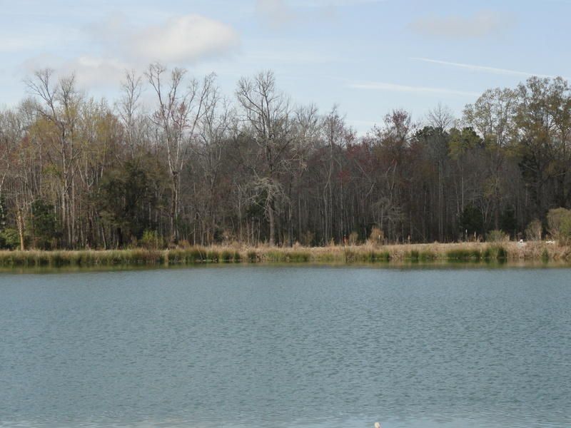1129 Hitchfield Ln, Awendaw, SC 29429