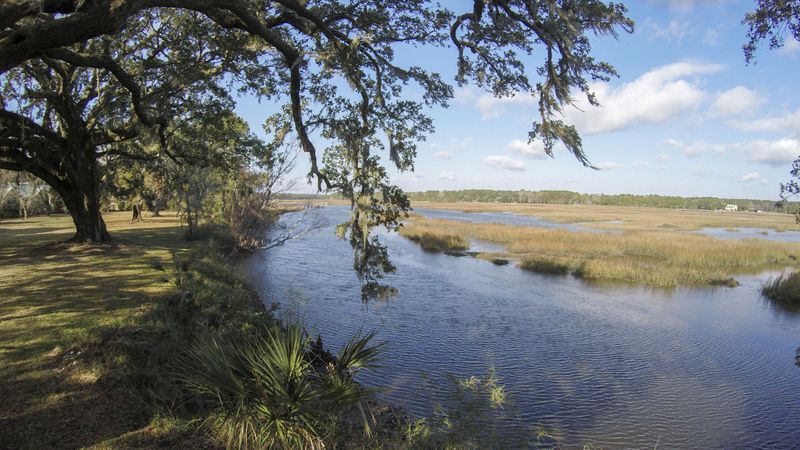 4424 Wando Farms Rd, Mount Pleasant, SC 29429