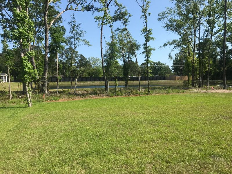 2219 Spring Hope Dr, Mount Pleasant, SC 29466