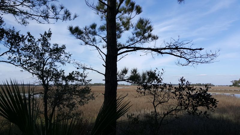 26 Marsh Island, Isle Of Palms, SC 29451