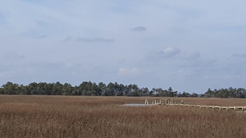 26 Marsh Island, Isle Of Palms, SC 29451