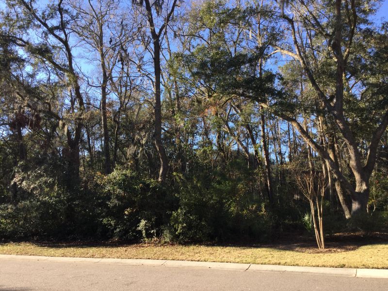 4280 Haulover Dr, Johns Island, SC 29455