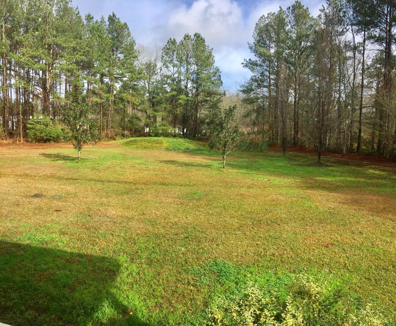 1821 Hwy 61, Ridgeville, SC 29472