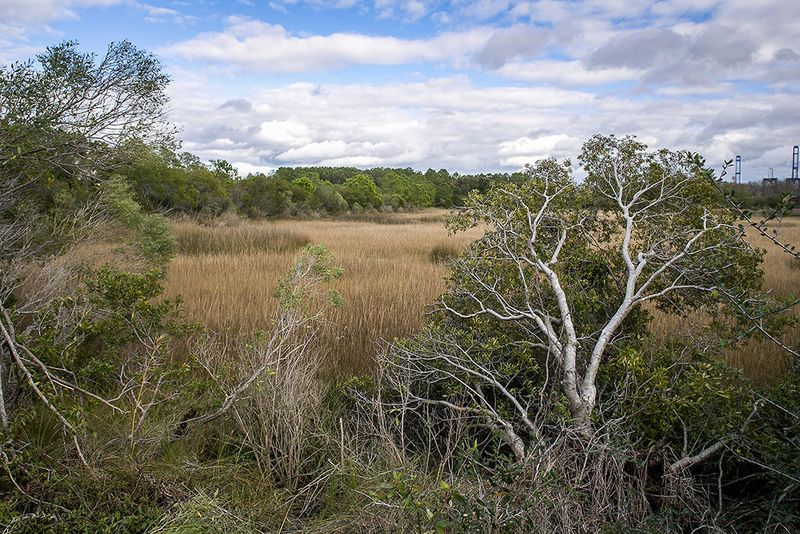 1908 Village Crossing Dr, Charleston, SC 29492