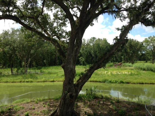2655 Colonel Harrison Dr, Johns Island, SC 29455