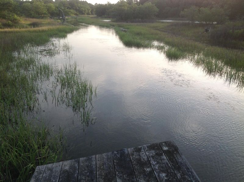 Lot 3 Burden Creek Rd, Johns Island, SC 29455