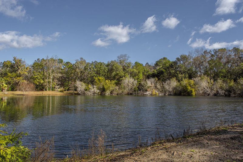 8110 Lachicotte St, Edisto Island, SC 29438