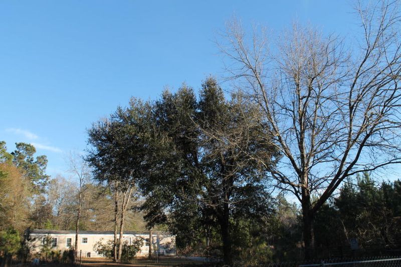 3969 Highway 45, Cross, SC 29436