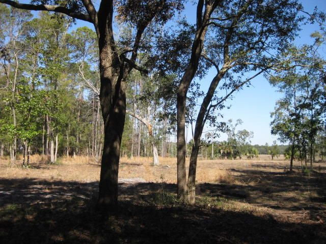 7e Chisolm Plantation Rd, Edisto Island, SC 29438