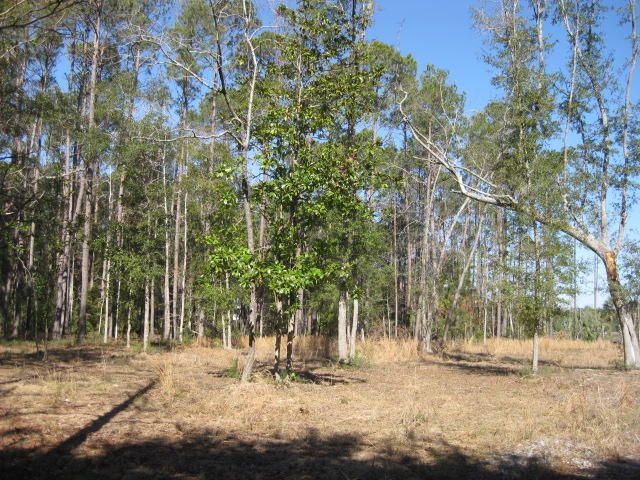 7e Chisolm Plantation Rd, Edisto Island, SC 29438