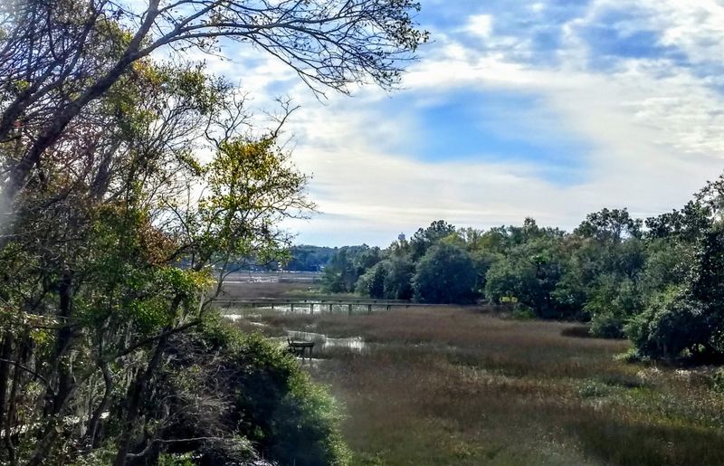 1055 Wharf Indigo Pl, Mount Pleasant, SC 29464