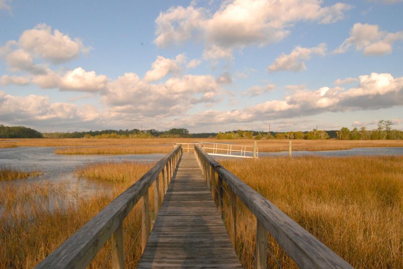 14 Lafar St, Daniel Island, SC 29492