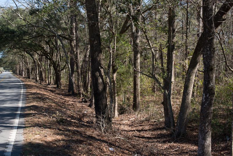 6303 Bears Bluff Rd, Wadmalaw Island, SC 29487