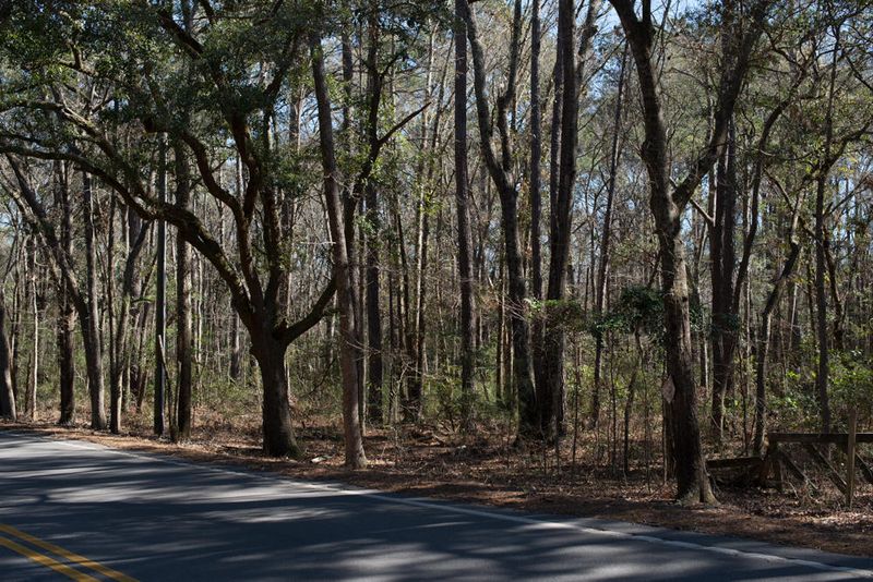 6303 Bears Bluff Rd, Wadmalaw Island, SC 29487