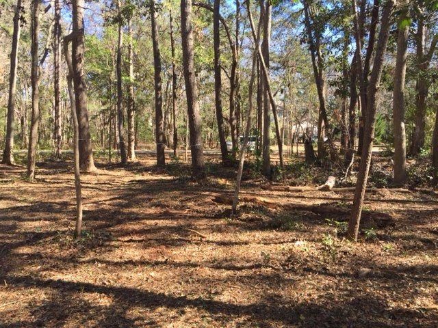 0 Crawford, Edisto Island, SC 29438