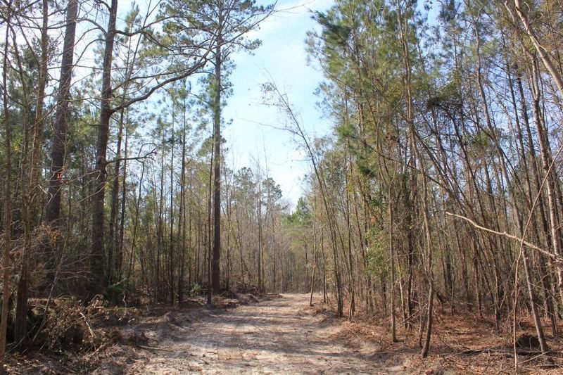 0 Magnolia St, Bonneau, SC 29431